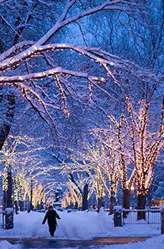 雪后的美景 唯美雪景图片