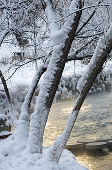 好美的下雪天 唯美雪景图片