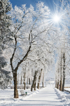 我生在南方却偏爱雪 唯美雪景小清新图片